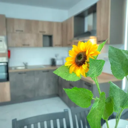 公寓 Modern & Comfy 1 Bedroom Near Seafront Pcal1-2 *